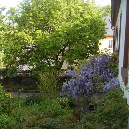Mit Garten Und Parkplatz By Interhome דירה נוימאגן-דרון